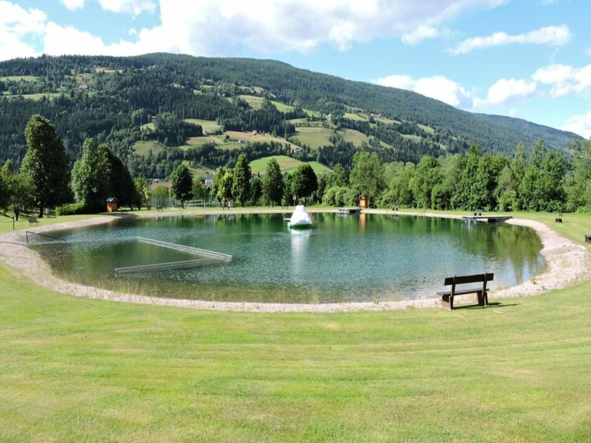 Chalet In Stadl An Der Mur Styria With Terrace Экстерьер фото